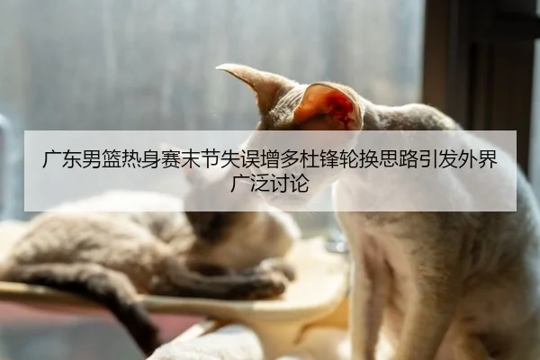广东男篮热身赛末节失误增多杜锋轮换思路引发外界广泛讨论